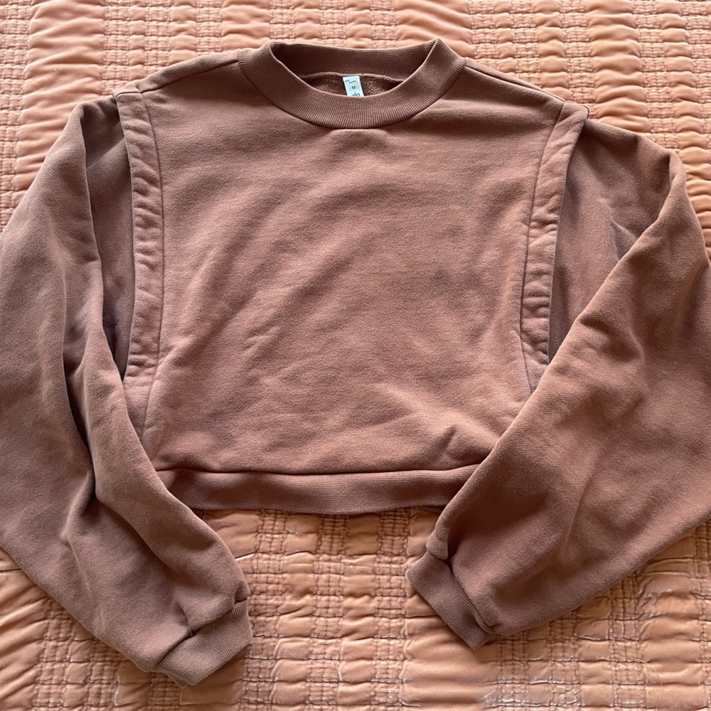 ALO Yoga Cropped Sweatshirt in Brown